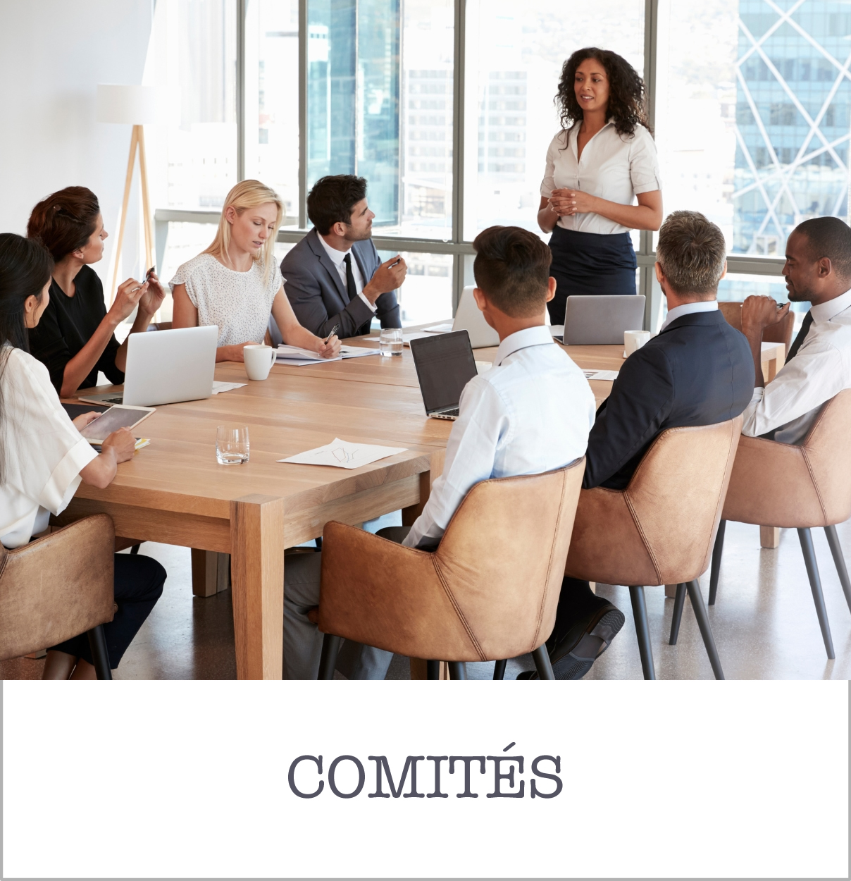 2021 boton web v1 comites