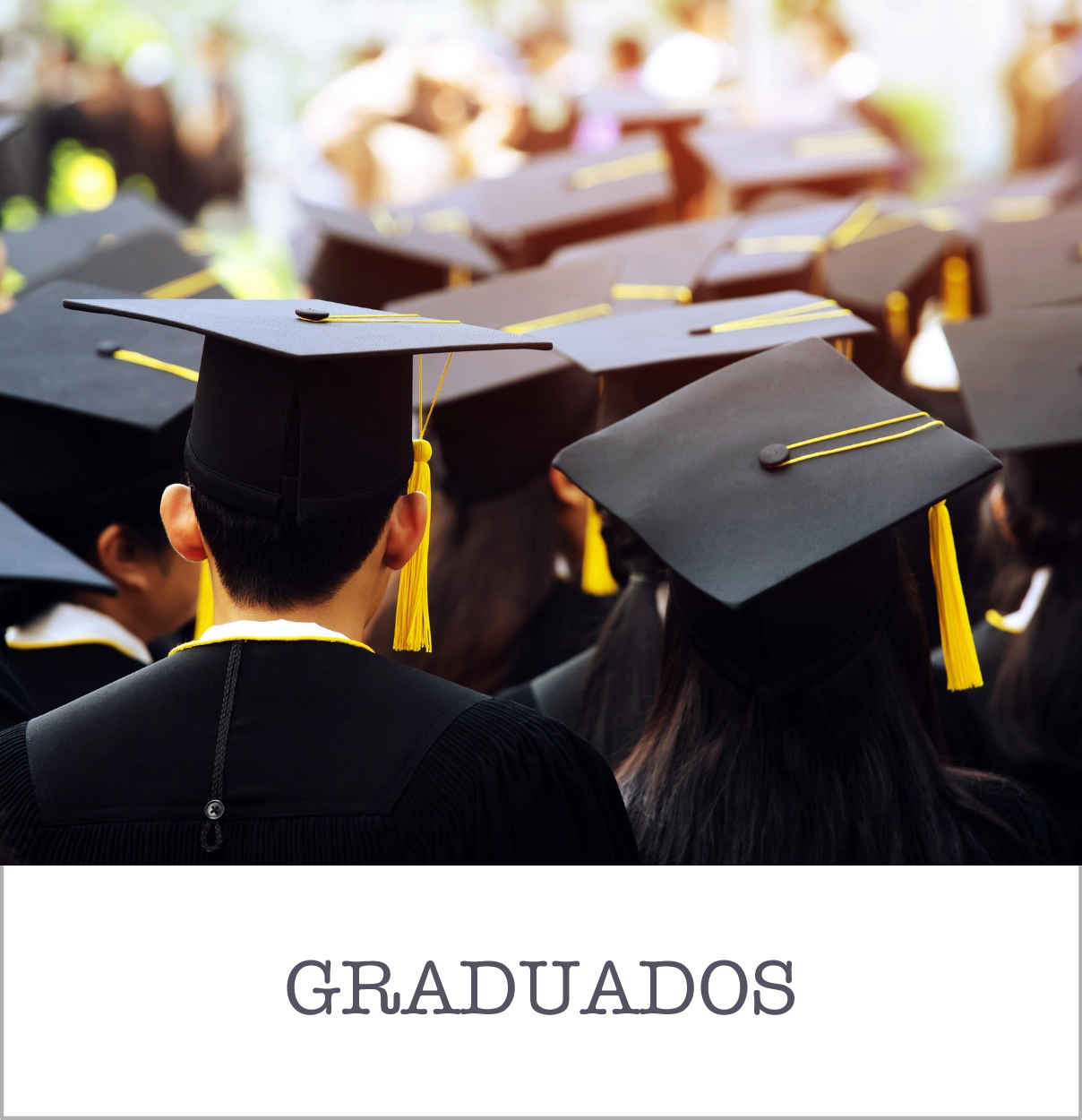 graduados