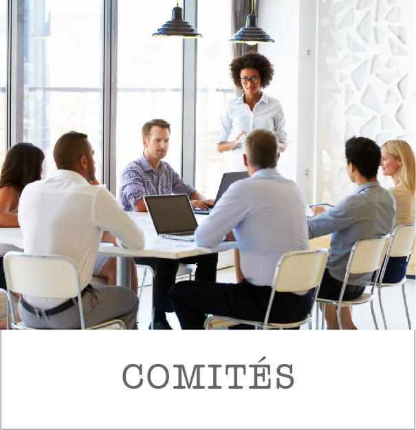 2021 boton web v1 comites
