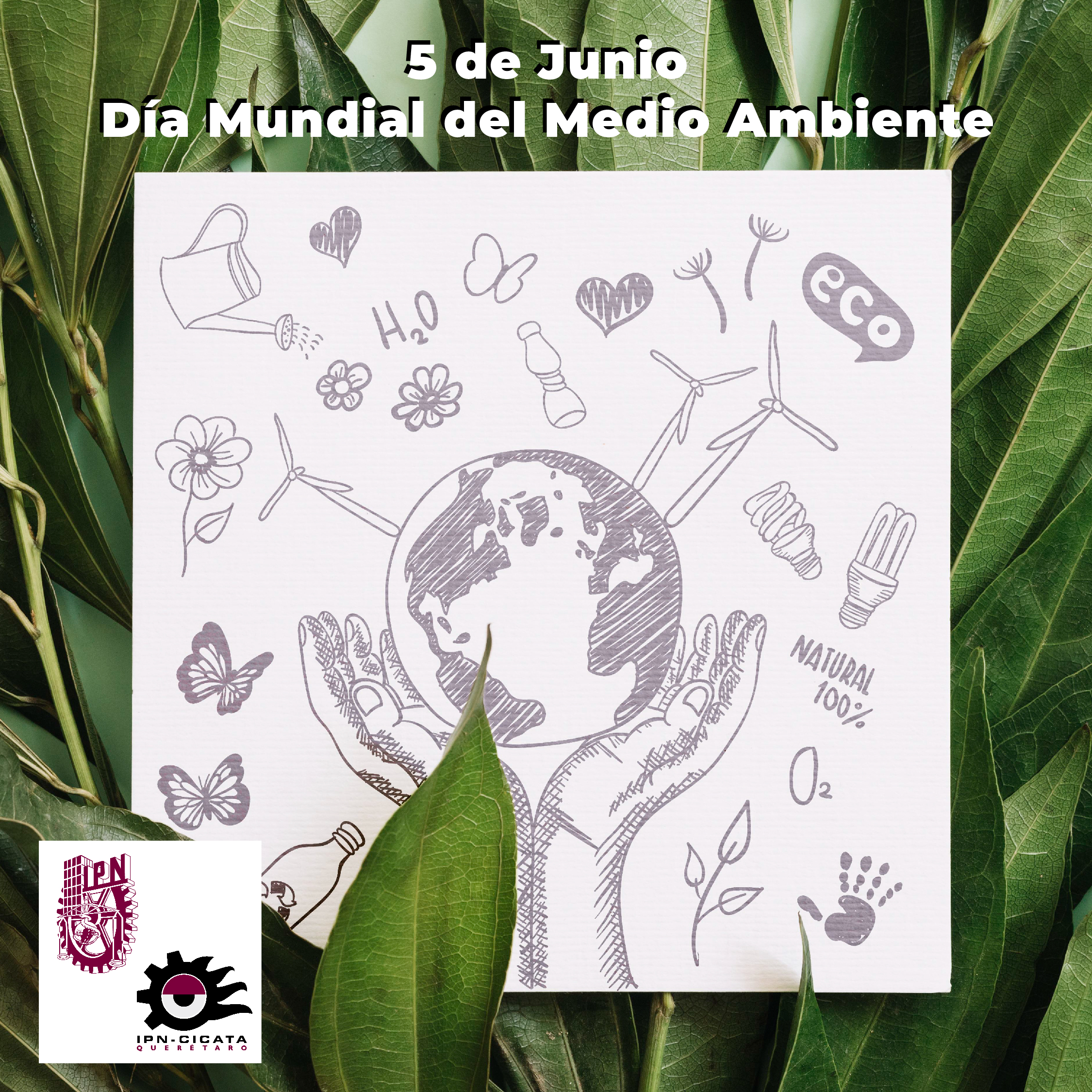 2024 Banner Medio Ambiente v4