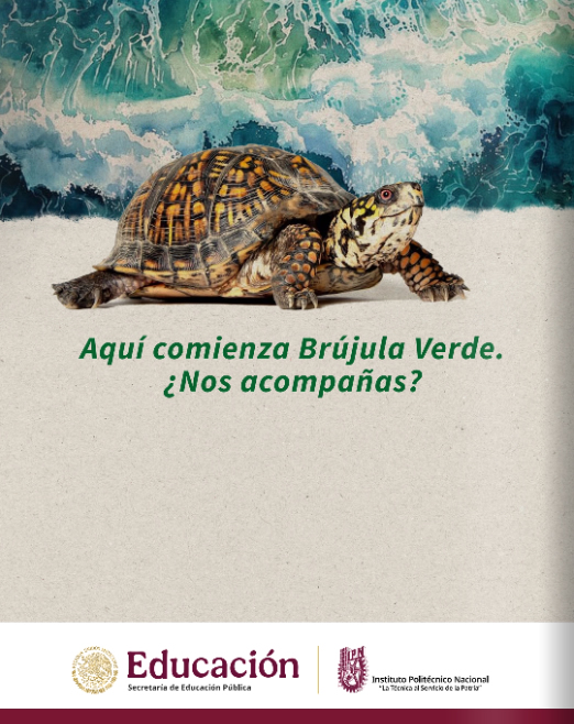 aqui comienza brujula verde