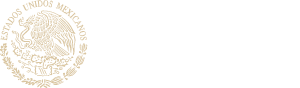 Logo Gobierno