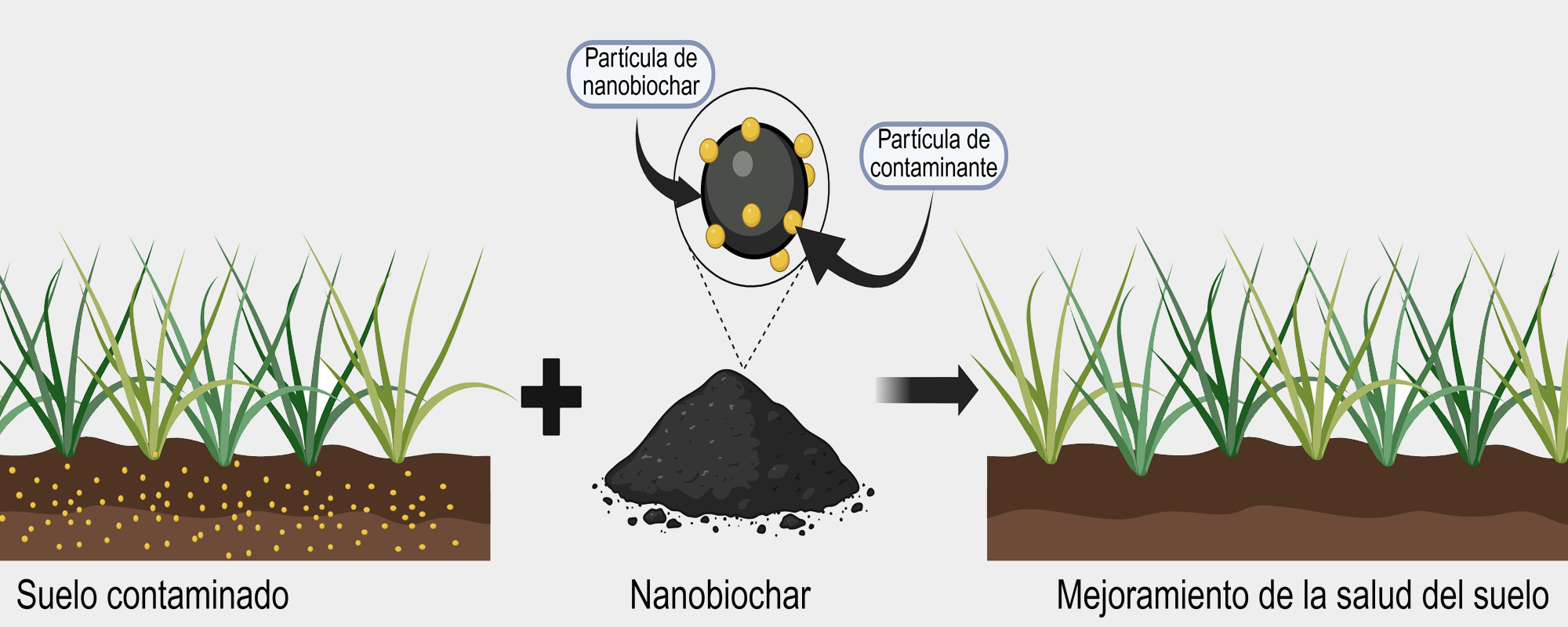 nanotecnologia