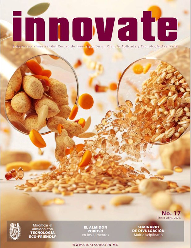 Revista Innovate No. 17