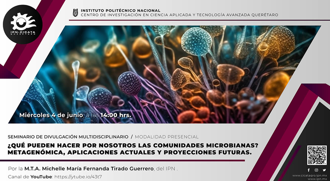 seminario 04062025