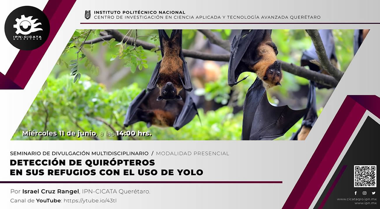 seminario 11062025