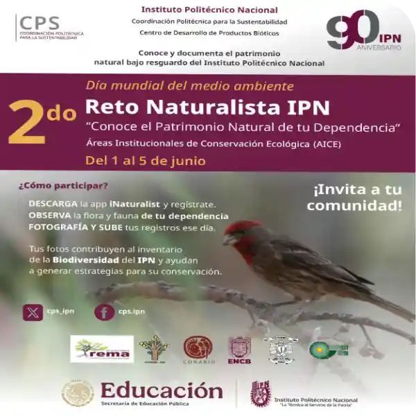 2 reto naturista