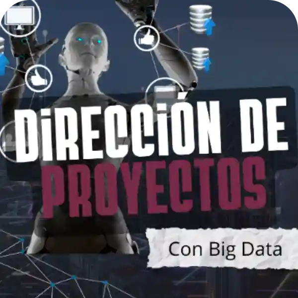direccion proyectos