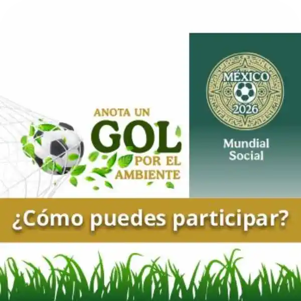 gol