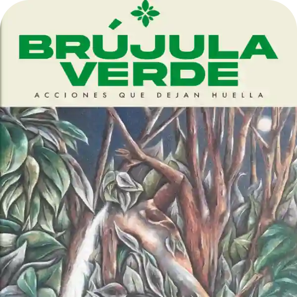 brujula verde