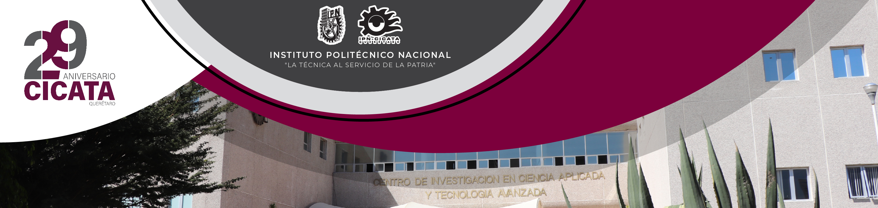 29 Aniversario