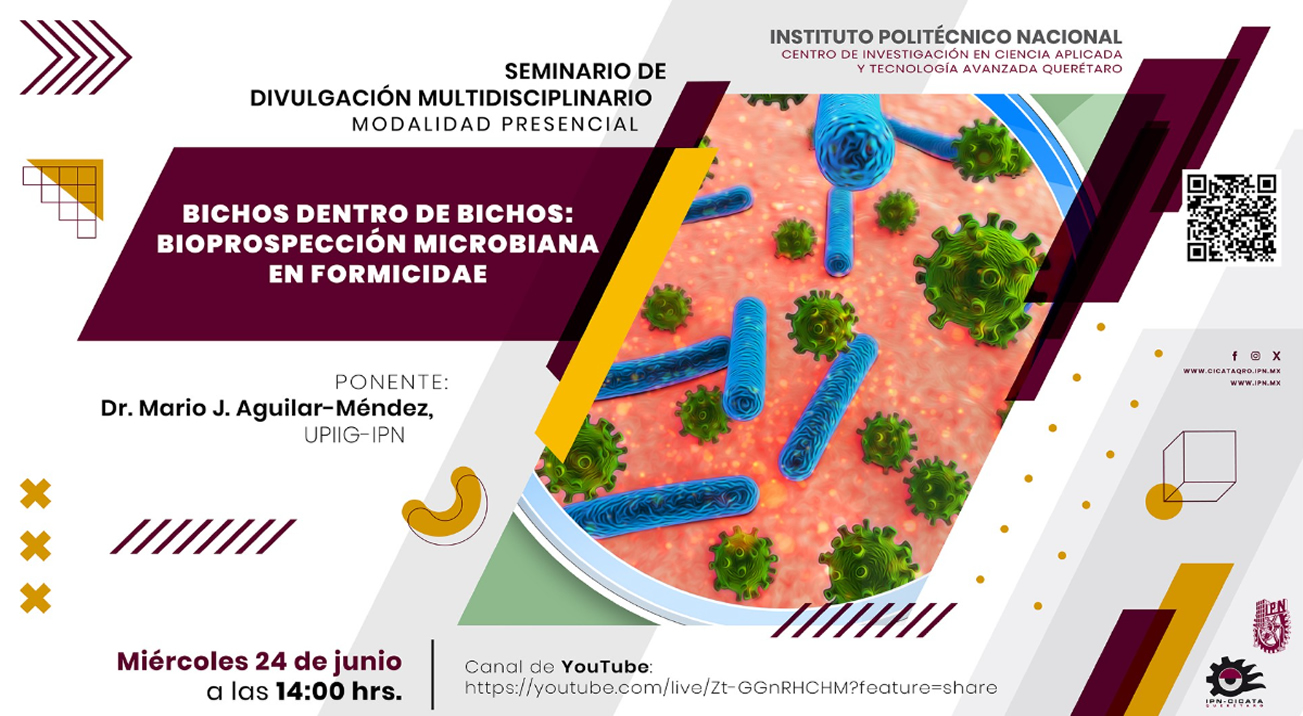 seminario 24062026